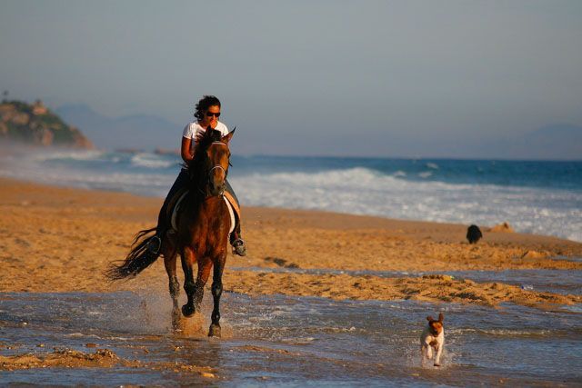 En las impresionantes playas de Zahara podrás dar relajantes paseos a caballo.